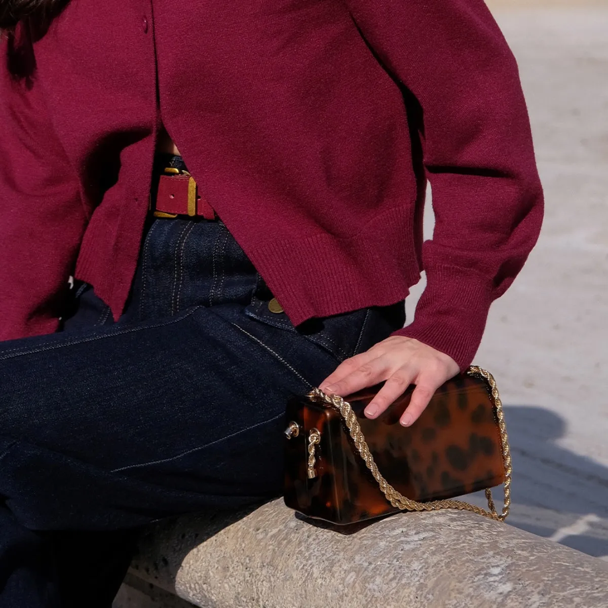 Arabel Resin Structured Clutch (Tortoise)