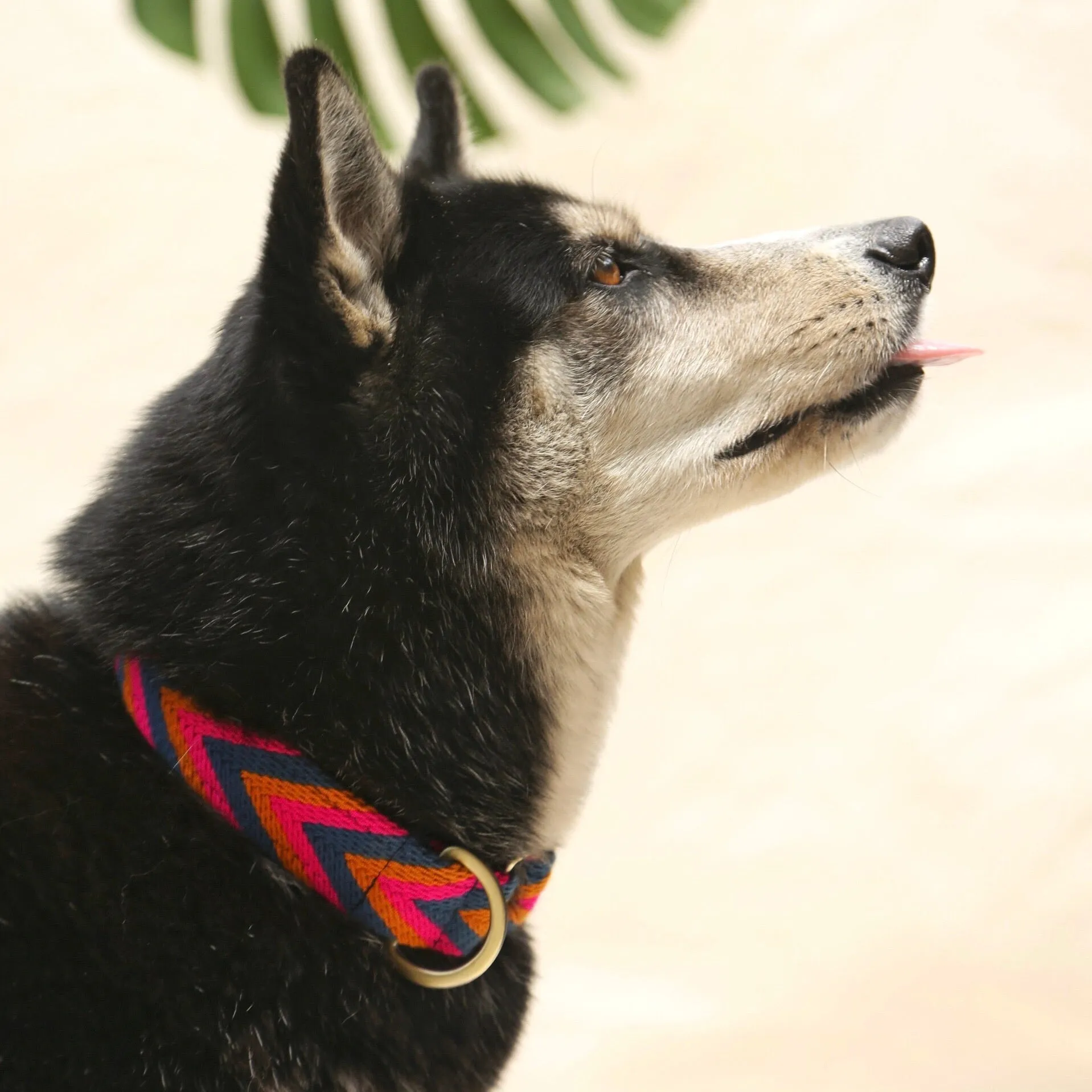 Azul Collar
