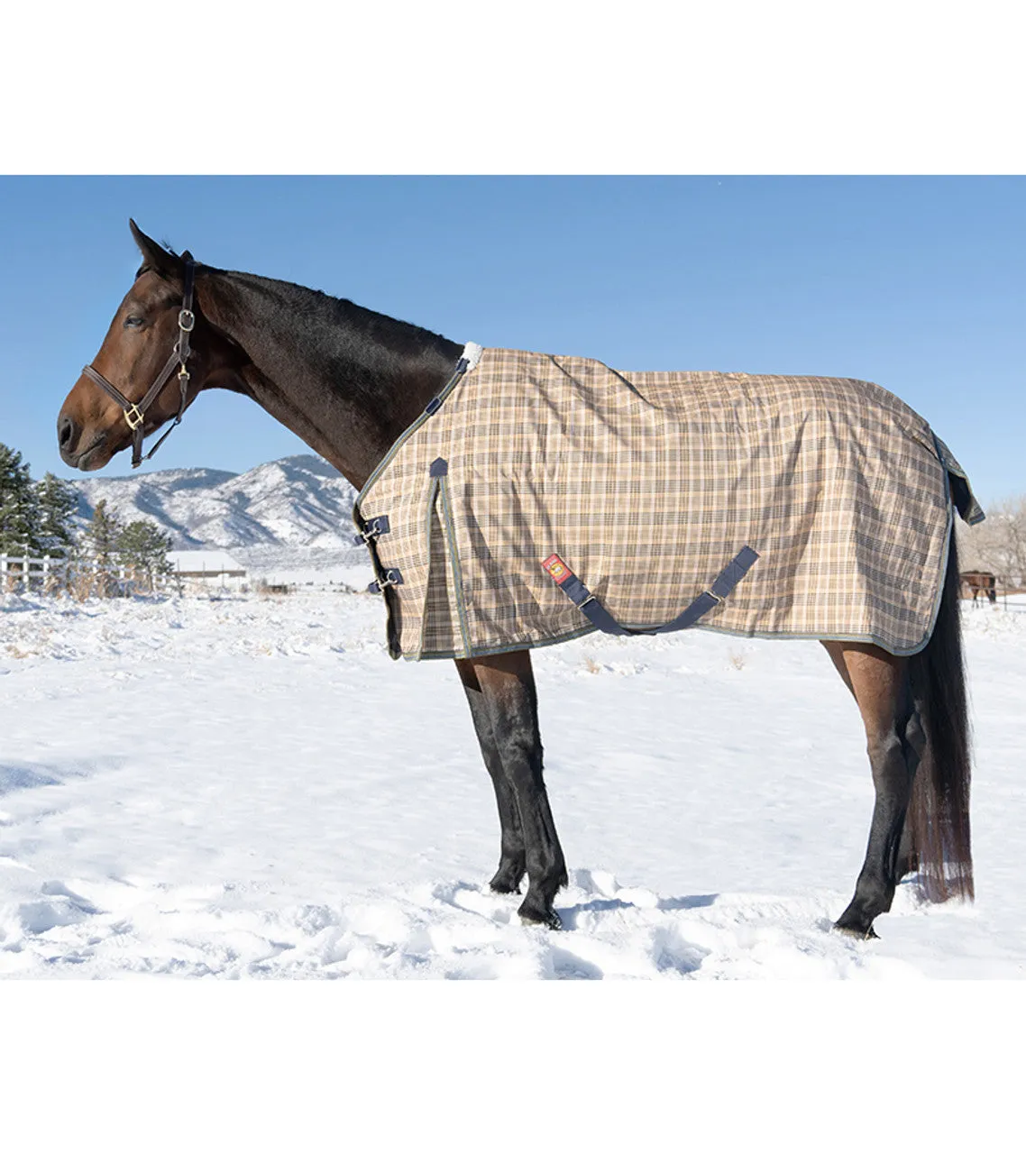 Baker Turnout Blanket - Heavy Weight (400 Gram)