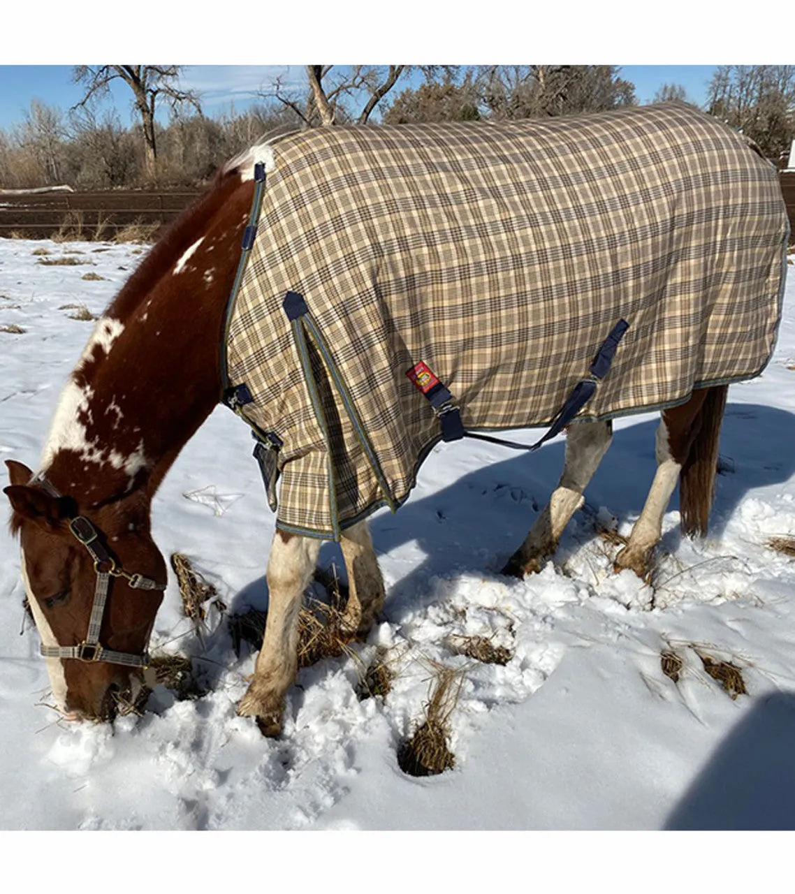 Baker Turnout Blanket - Heavy Weight (400 Gram)