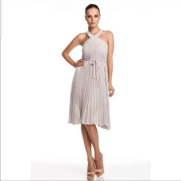 BCBGMAXAZRIA Eloise Light Stone Micropleated Belted Dress 2