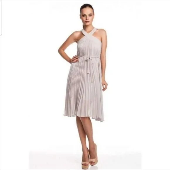BCBGMAXAZRIA Eloise Light Stone Micropleated Belted Dress 2