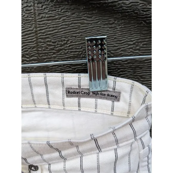 Citizens of Humanity Anthro Rocket Crop Striped High Rise Skinny Jeans