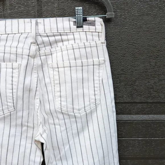 Citizens of Humanity Anthro Rocket Crop Striped High Rise Skinny Jeans