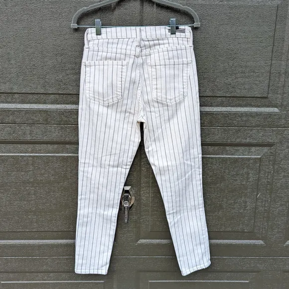 Citizens of Humanity Anthro Rocket Crop Striped High Rise Skinny Jeans