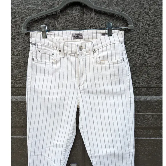 Citizens of Humanity Anthro Rocket Crop Striped High Rise Skinny Jeans