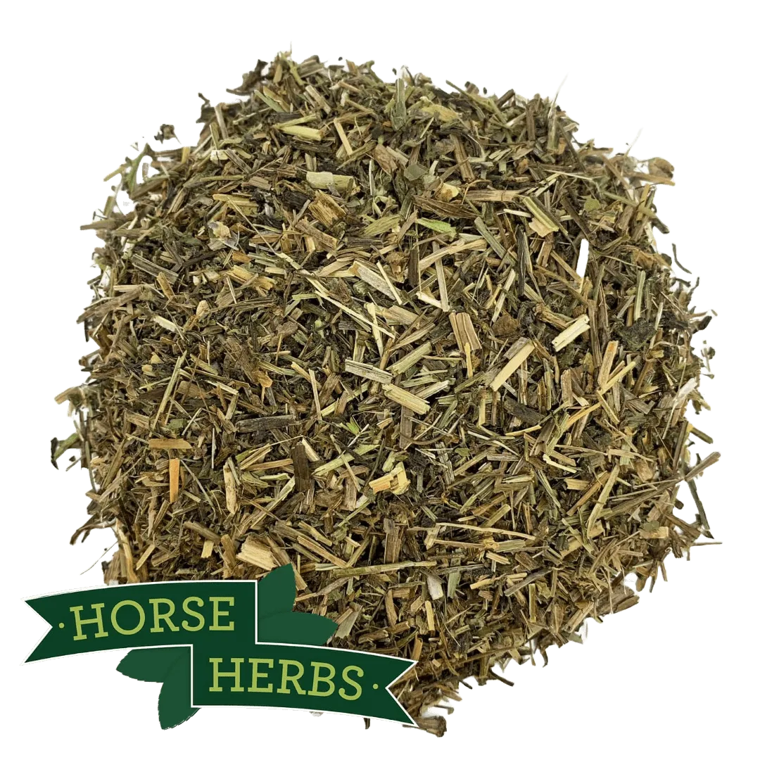Cleavers Herb