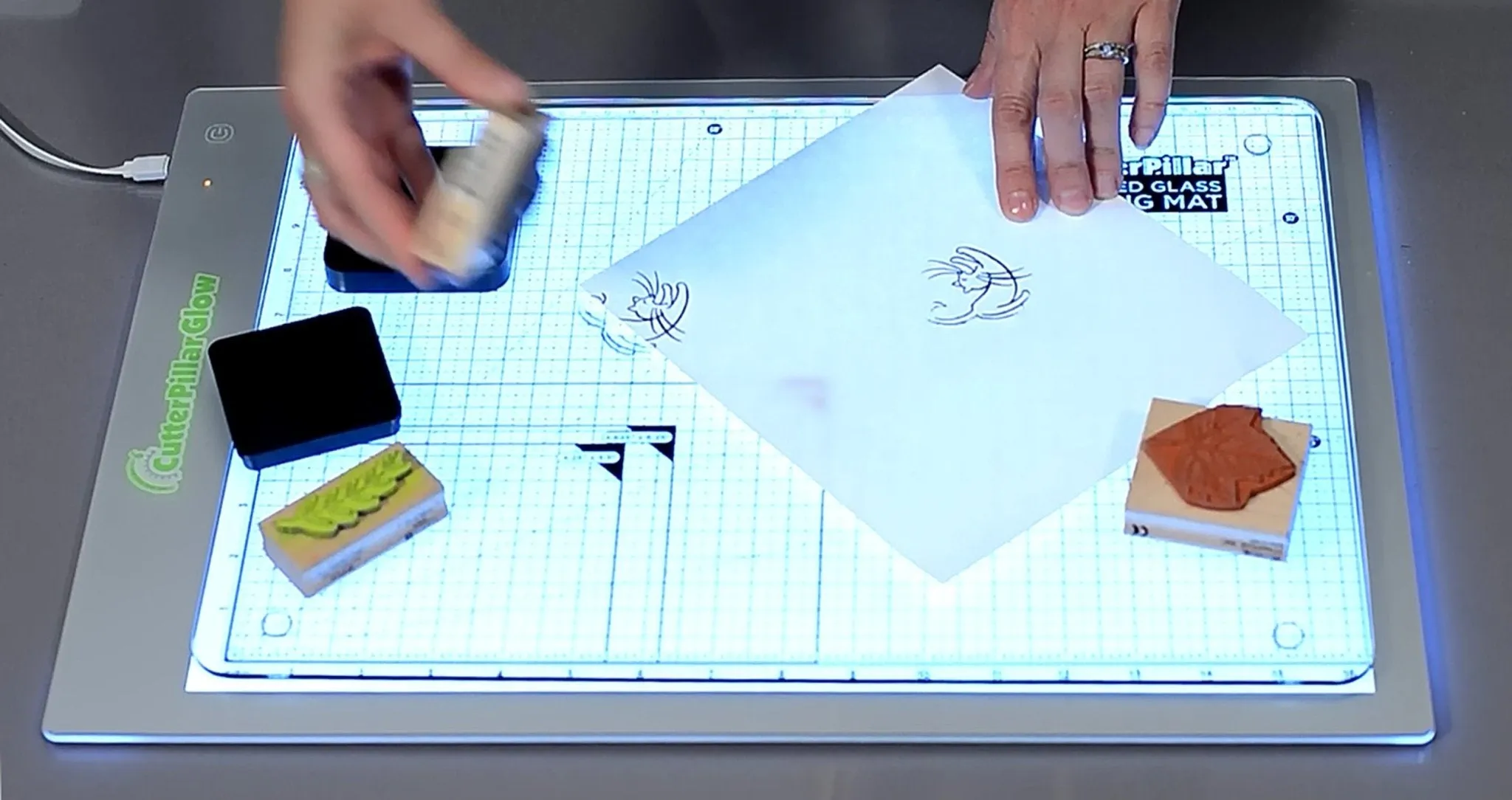 CUTTERPILLAR GLOW ULTRA LIGHTBOARD