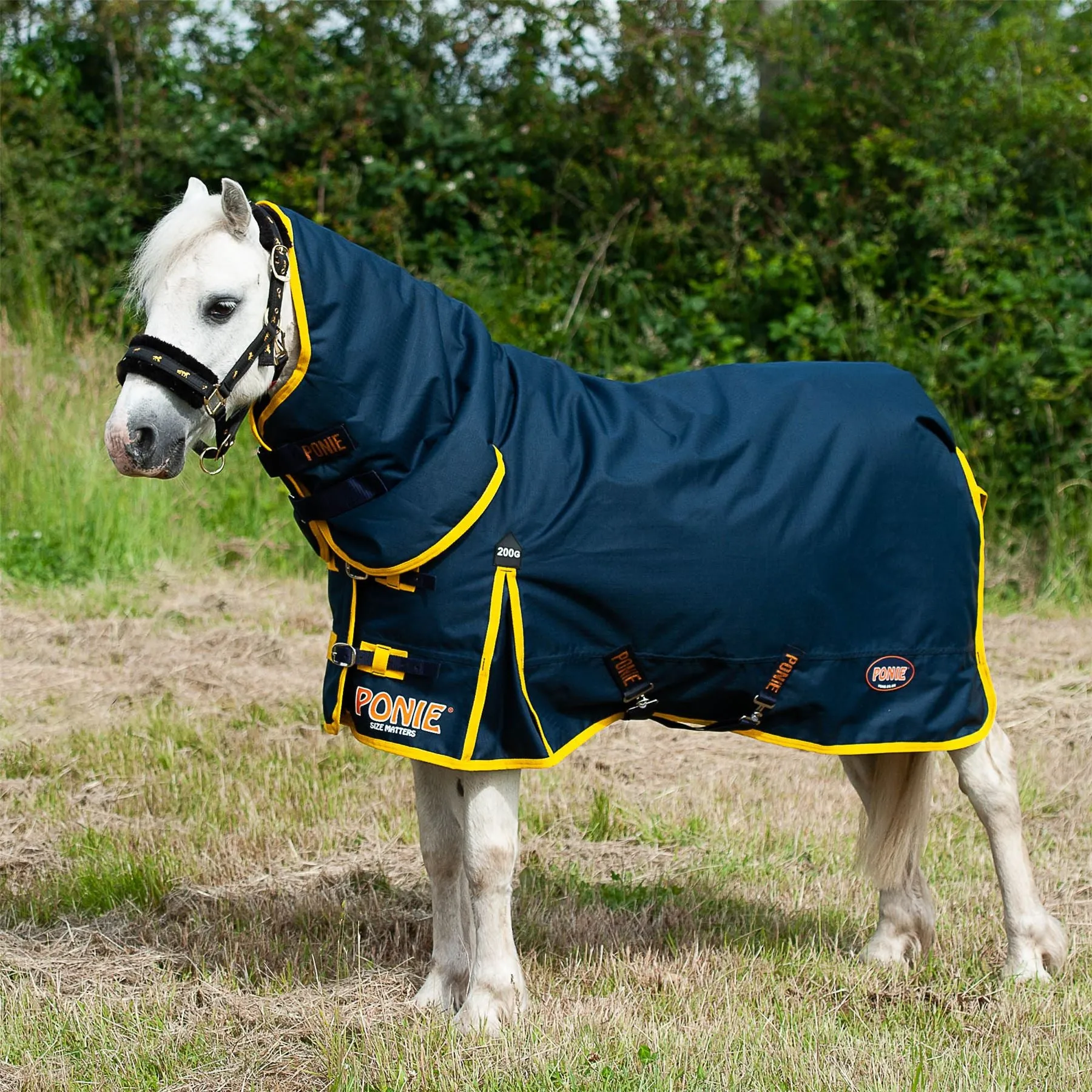 Gallop Equestrian Ponie 200 Turnout Combo