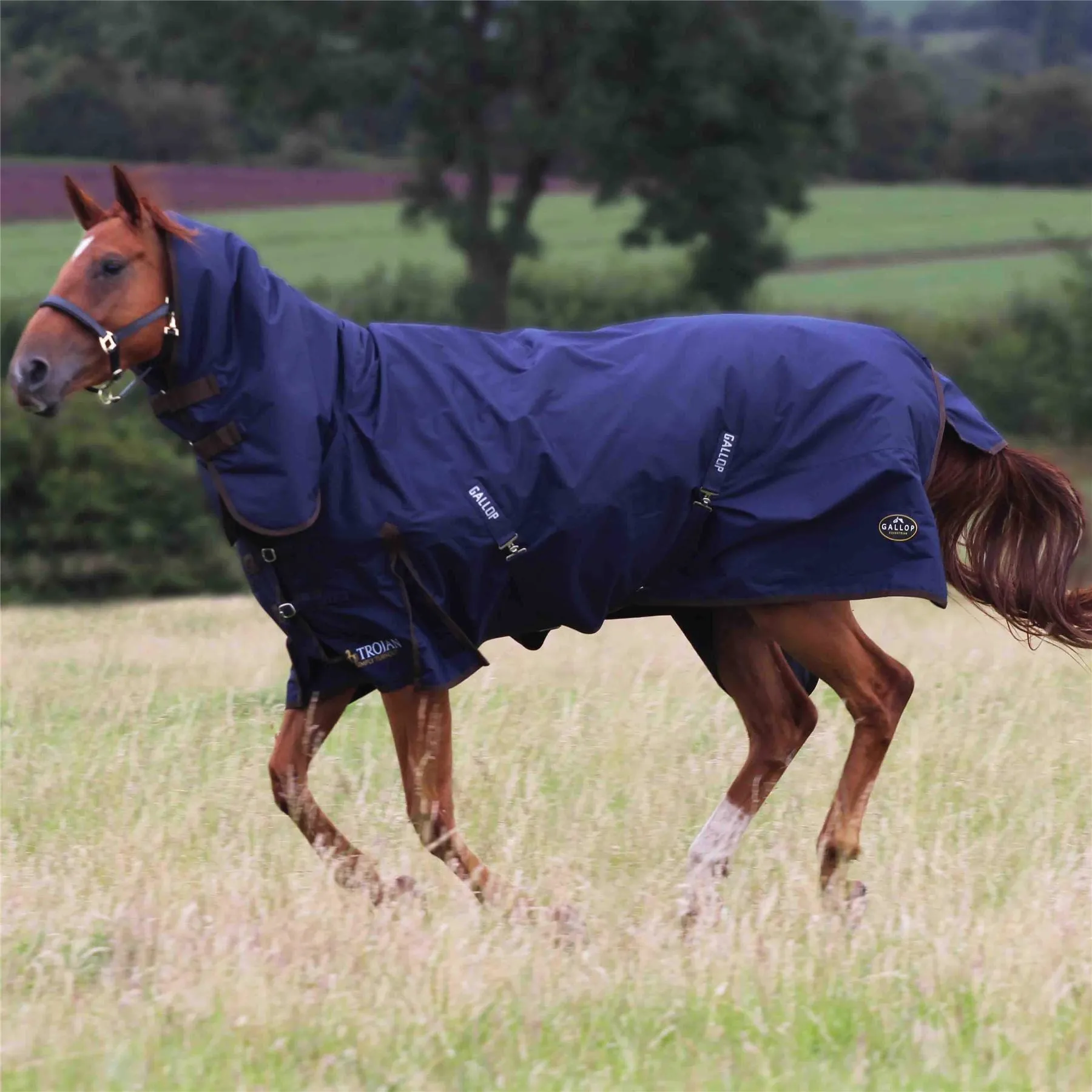 Gallop Equestrian Trojan 450 Combo Turnout