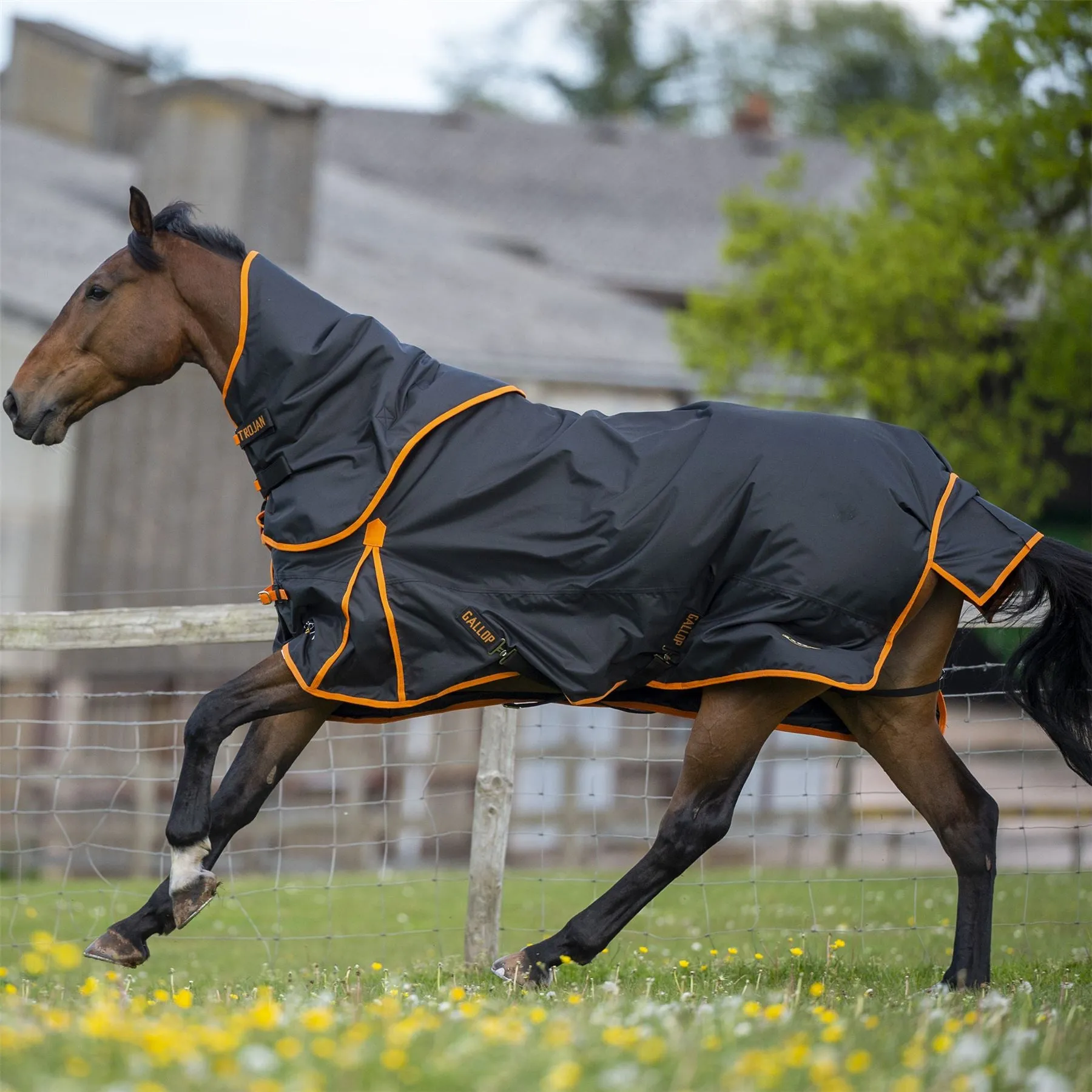 Gallop Equestrian Trojan Dual 100 Turnout Rug & Neck Set