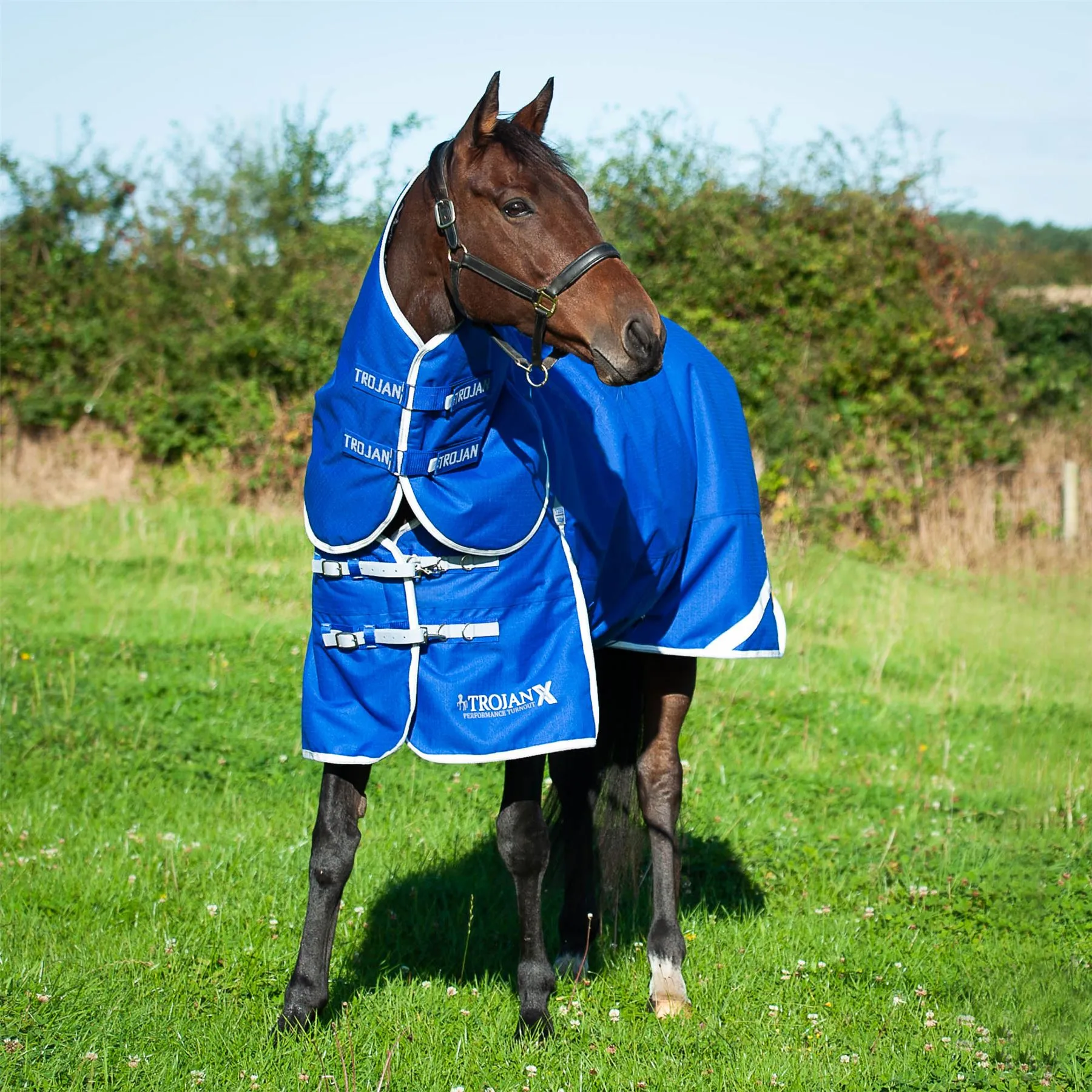Gallop Equestrian Trojan Xtra 300 Dual Turnout Rug & Neck Set