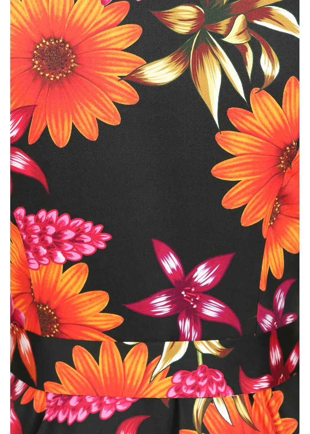 Hearts &amp; Roses Eden Floral 50's Swing Dress Black