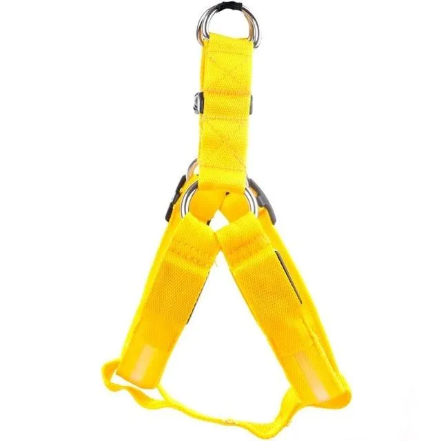 LED Dog Safety Harness | High-Visibility Flashing Light