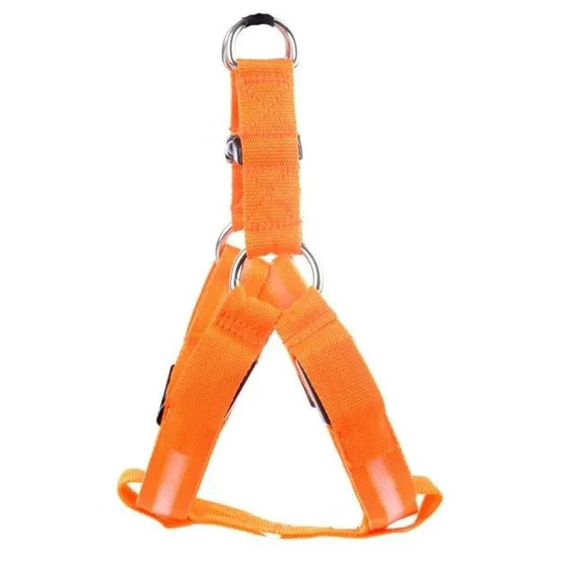 LED Dog Safety Harness | High-Visibility Flashing Light