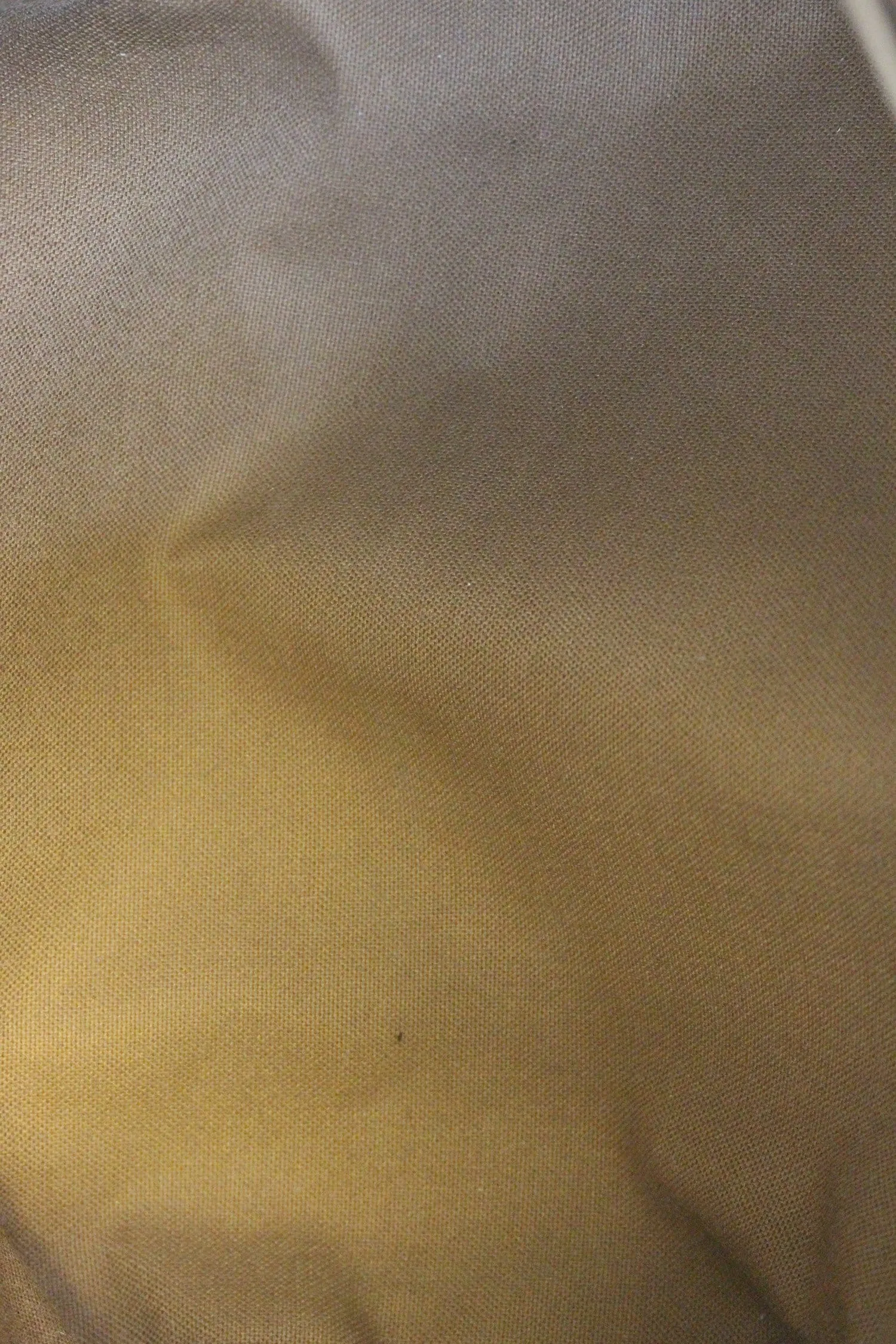 LOUIS VUITTON Monogram Totally PM Tote Bag