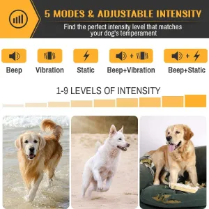 New in box! Petrainer PET856 Anti Dog Bark Collar No Barking Collar Waterproof Dog Training Collar with 5 Training Modes for Small Medium Large Dogs
