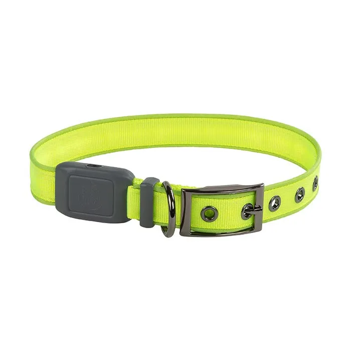 Niteize - NiteDog Rechargeable LED Collar Medium
