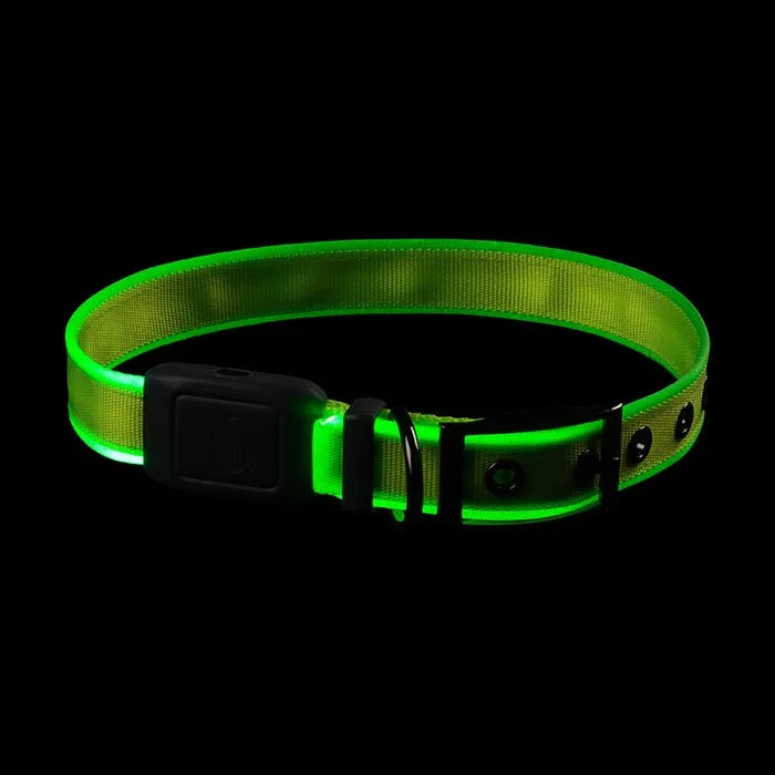 Niteize - NiteDog Rechargeable LED Collar Medium