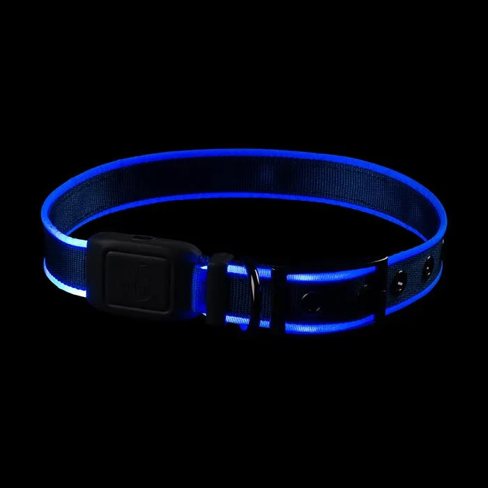 Niteize - NiteDog Rechargeable LED Collar Medium