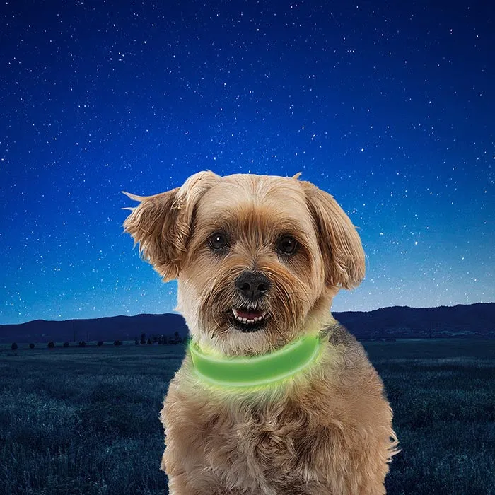 Niteize - NiteDog Rechargeable LED Collar Medium