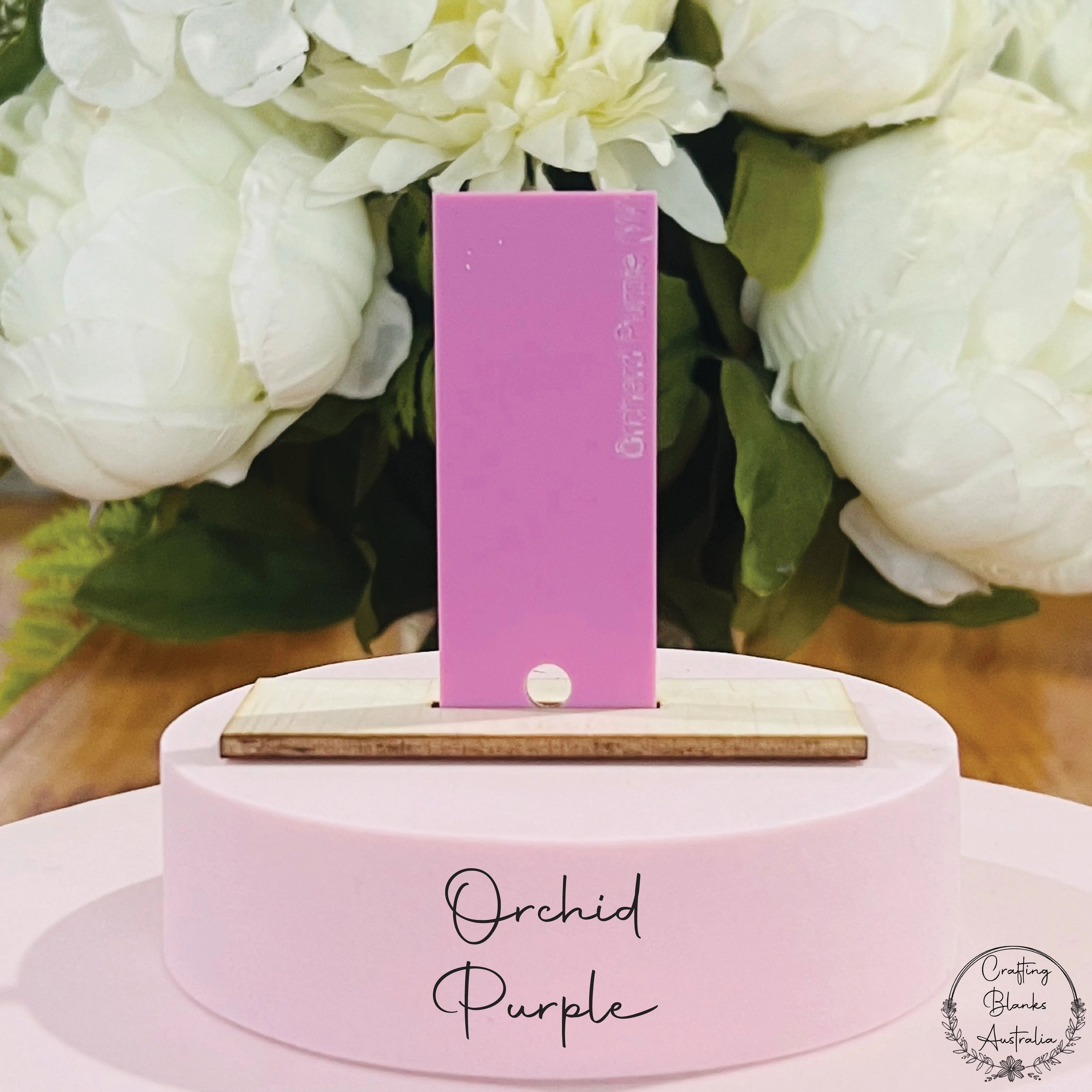 Oval • Blank Tag • Placecard • 50mm x 90mm