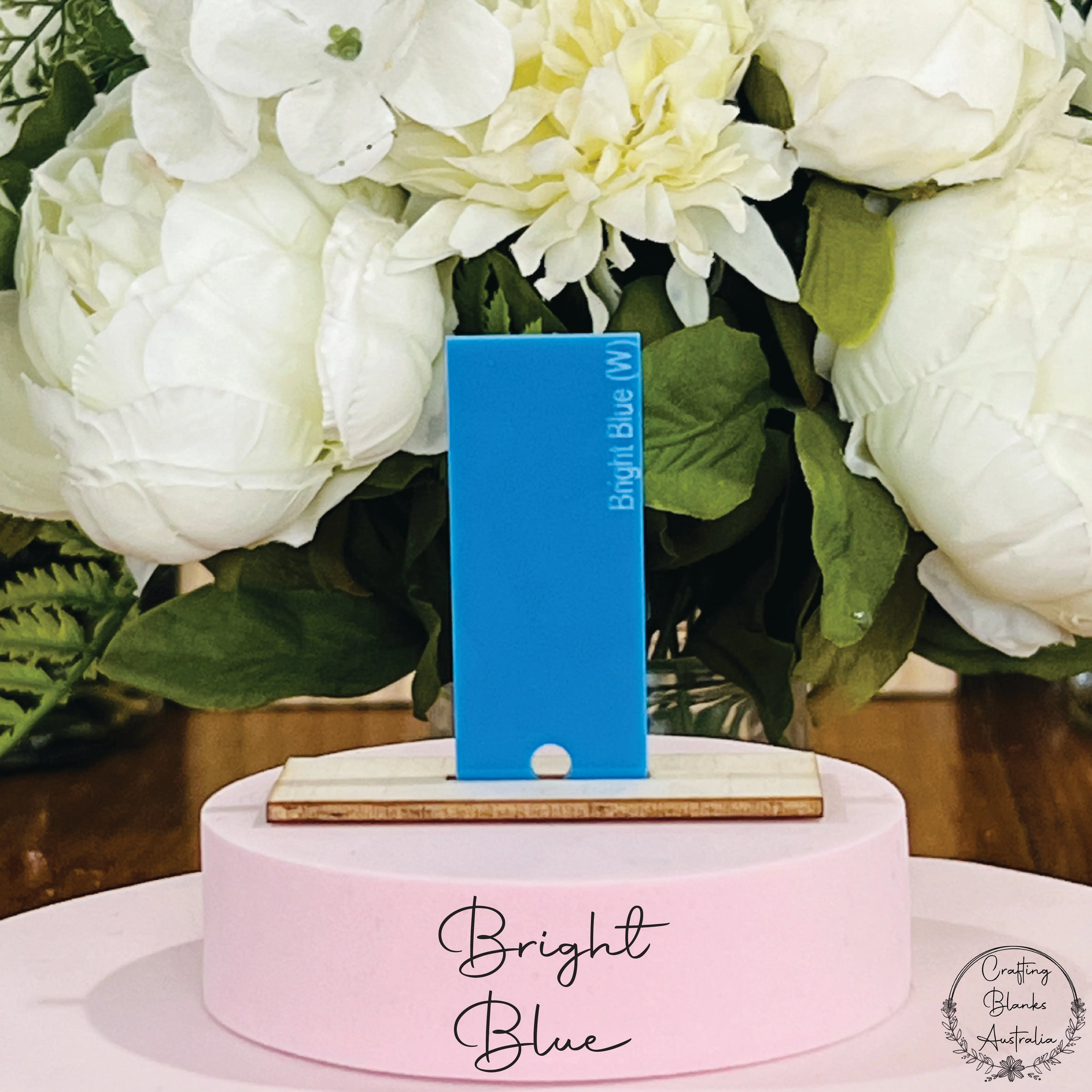 Oval • Blank Tag • Placecard • 50mm x 90mm