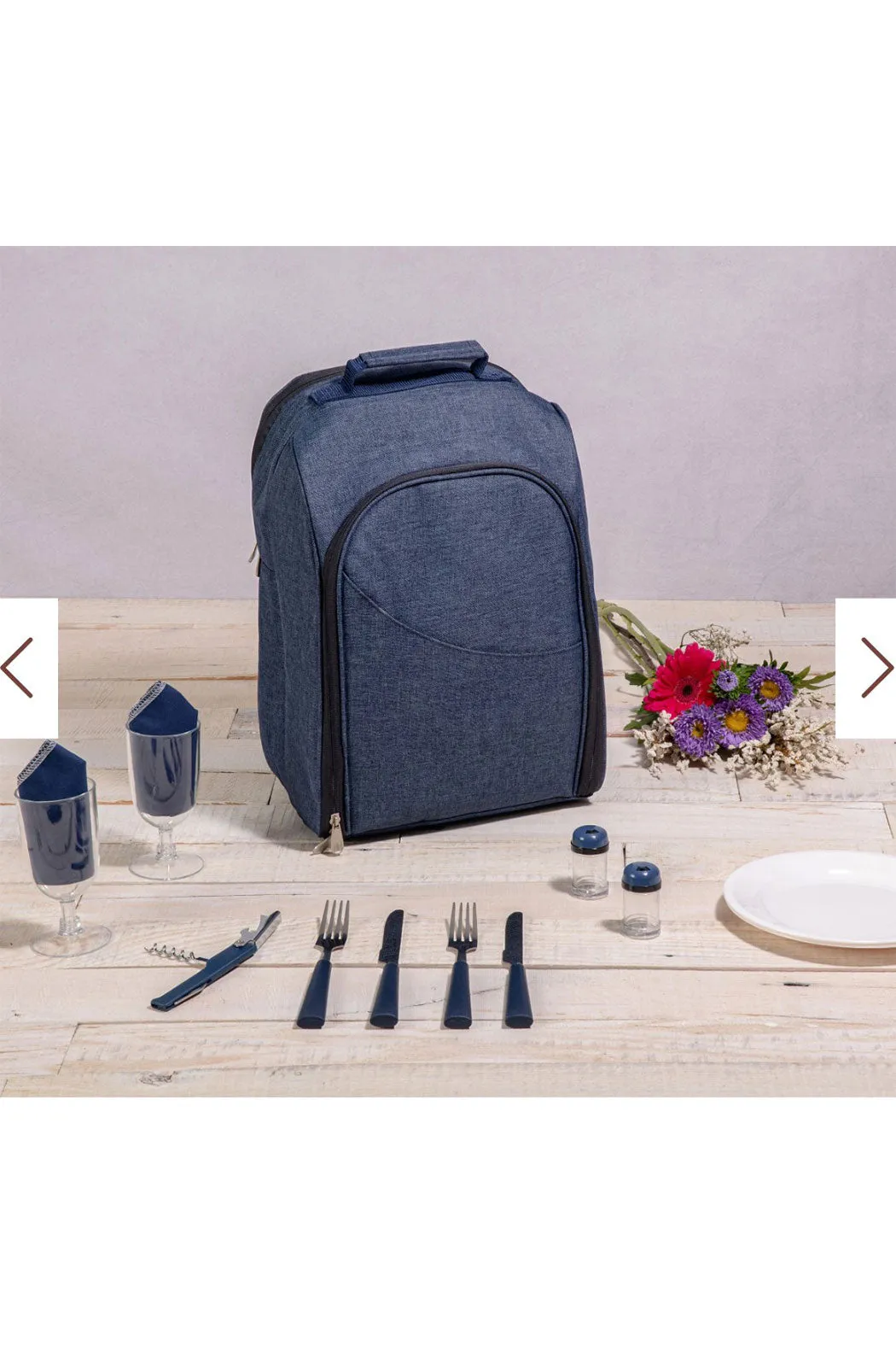 Picnic Cooler Backpack