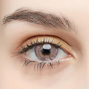 Pollyeye Egypt Brown Colored Contact Lenses