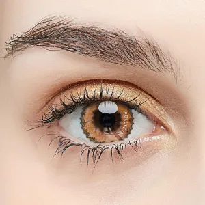 Pollyeye Muse Brown Colored Contact Lenses