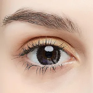 Pollyeye Muse Chocolate Colored Contact Lenses