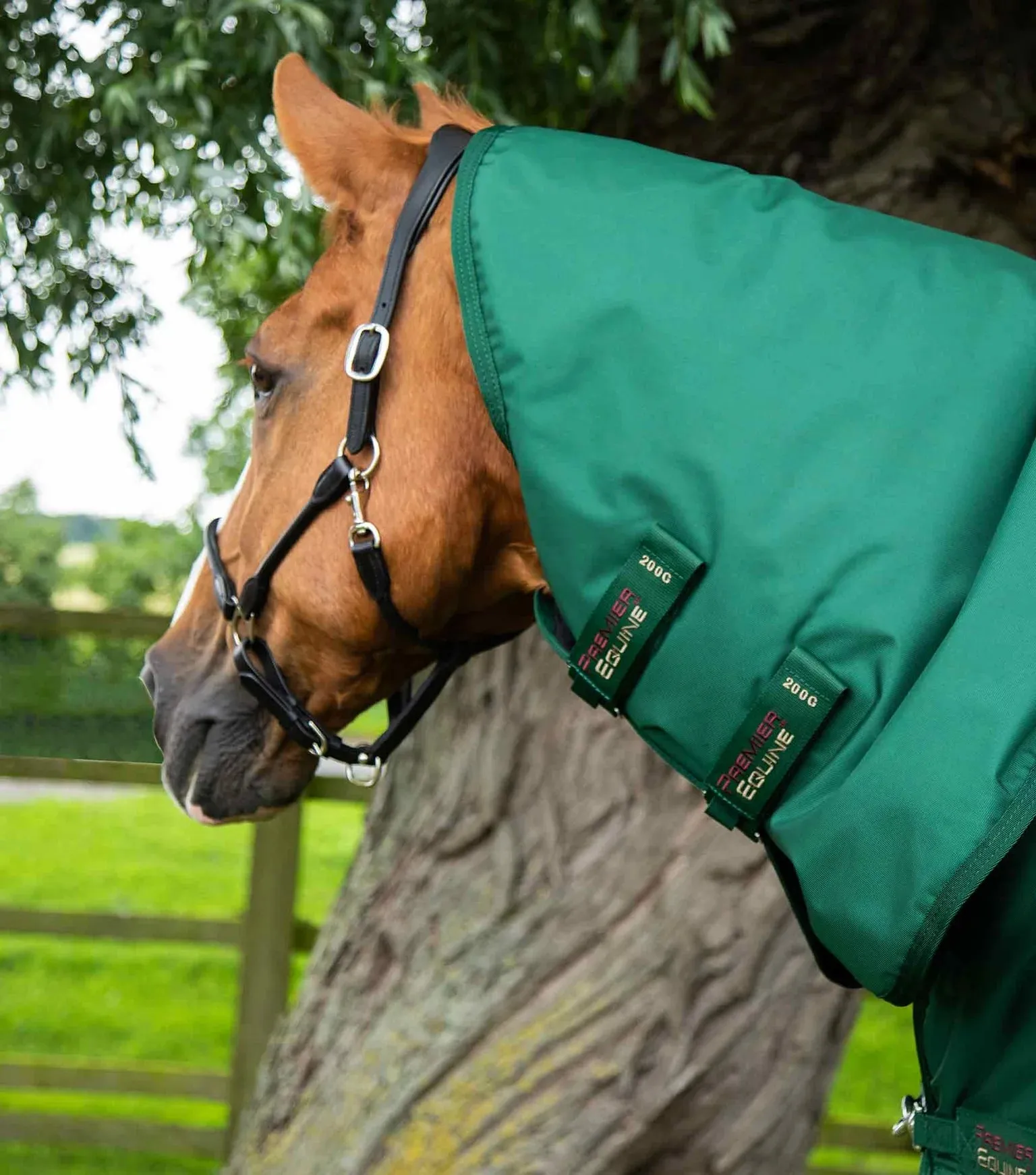 Premier Equine Buster Storm 220g Combo Turnout Rug With Classic Neck