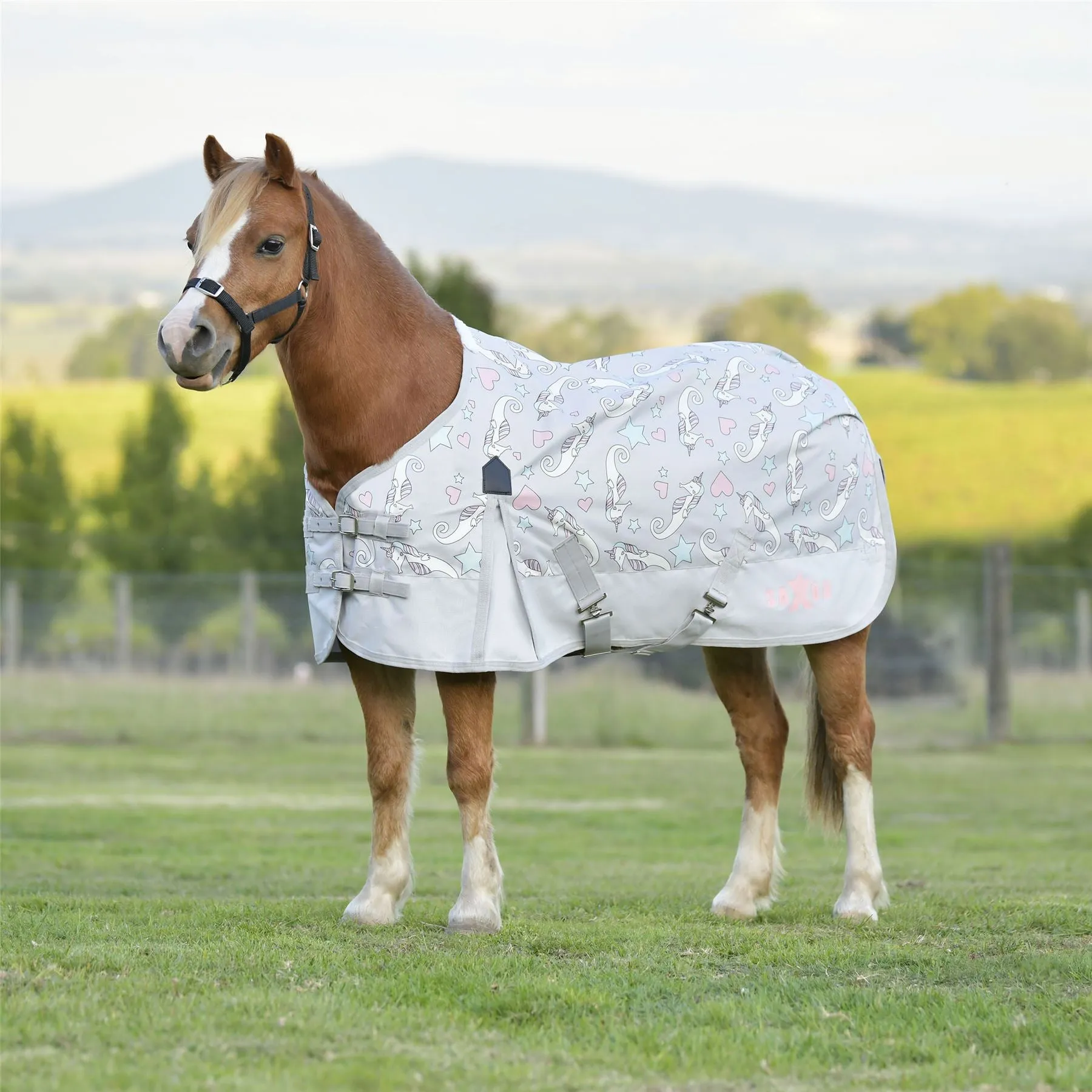 Saxon 600D Pony Standard Neck Lite