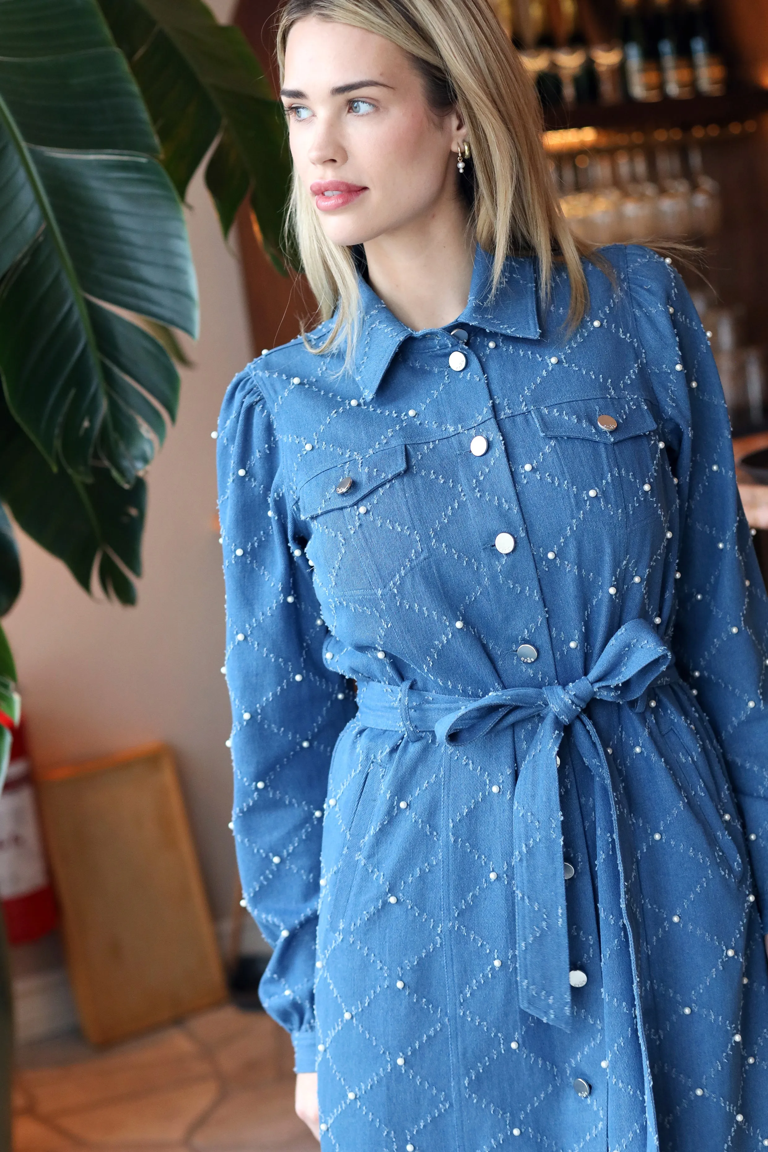 Selenacras Dress - Light Blue
