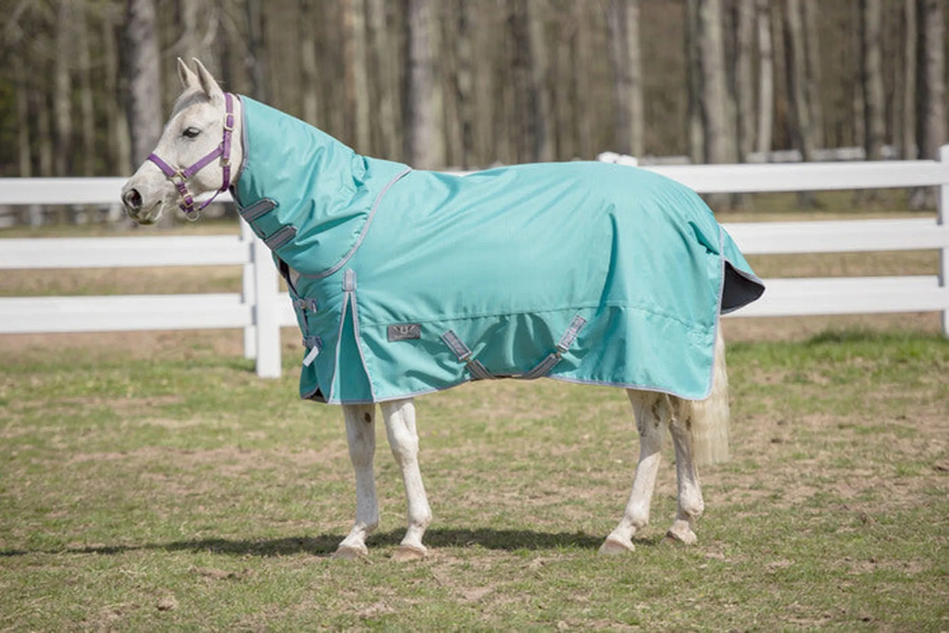 TuffRider Turquoise 1200 D Comfy Winter Medium Weight Turnout Blanket W/ Detachable Neck 200 GSM