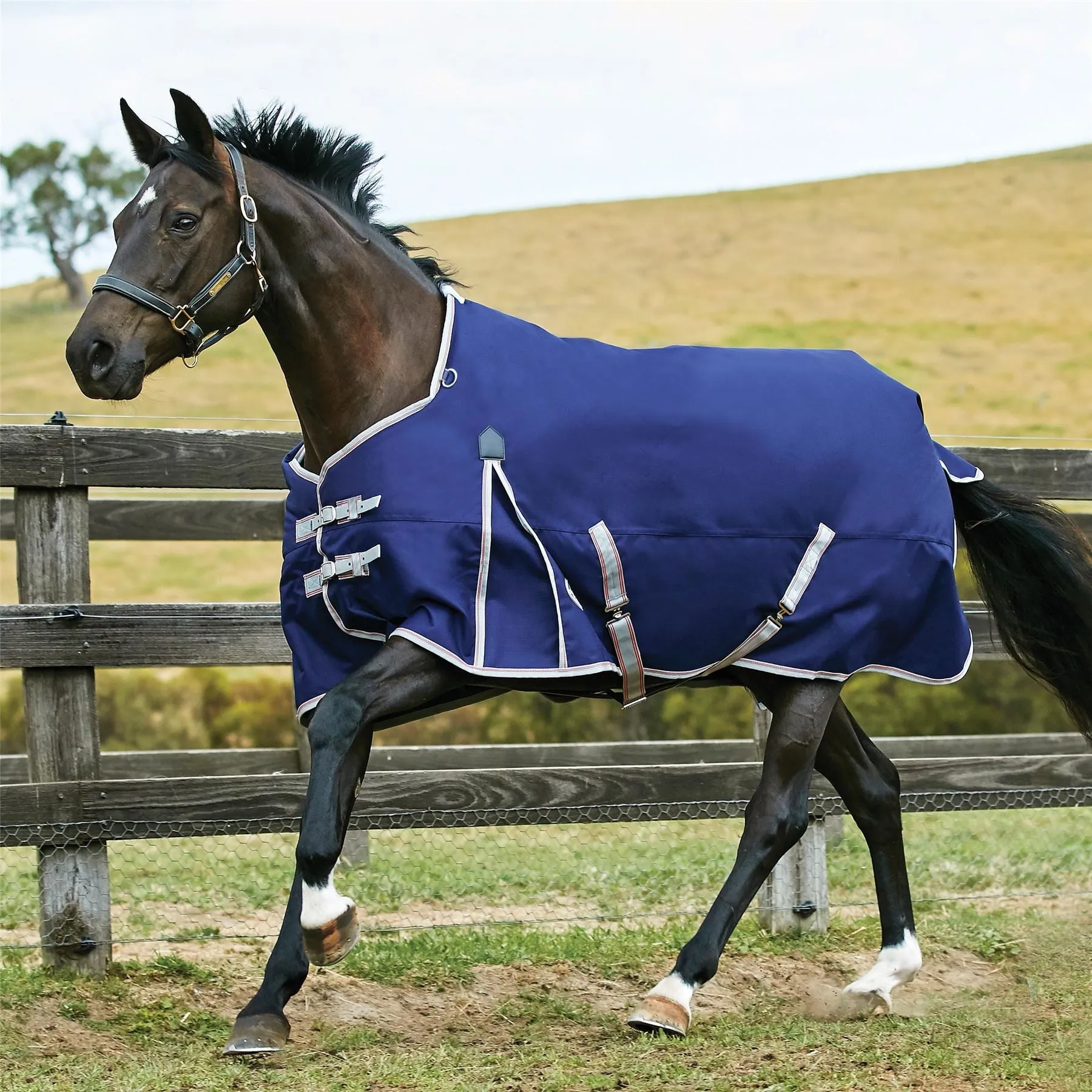 Weatherbeeta Comfitec Essential Standard Neck Lite