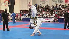 X 2007 PAN AMERICAN JIU-JITSU CHAMPIONSHIPS 2 DVD SET