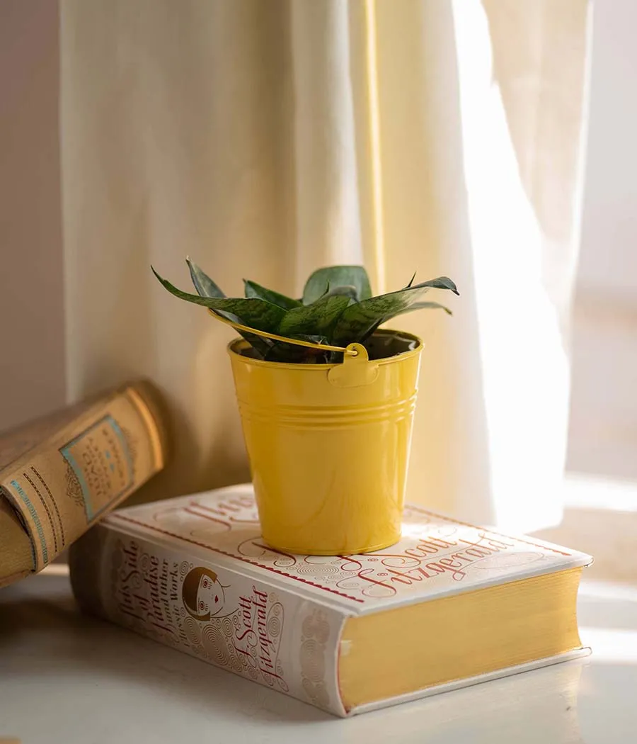 Yellow Bucket Planter